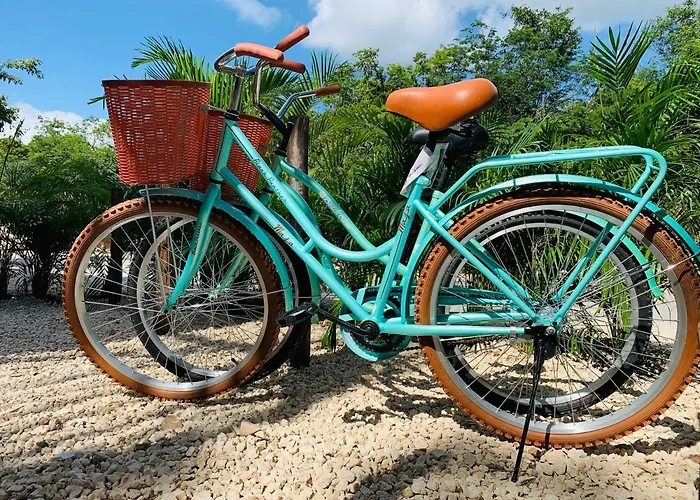 Vida Jungle Boho 9 With Special Fee To Access Bardo Tulum