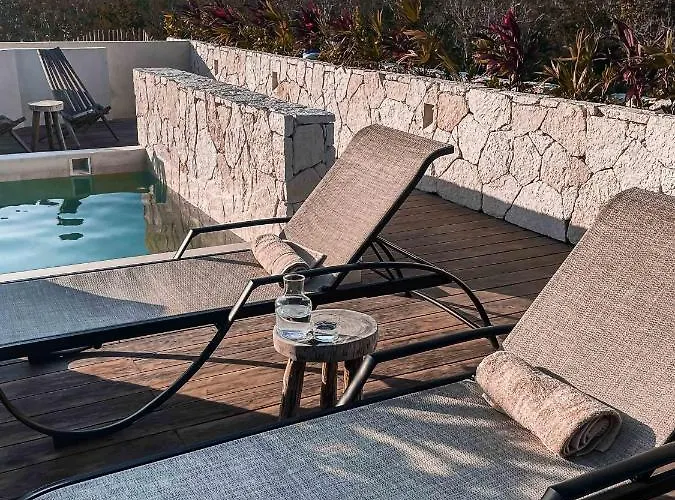 Vida Jungle Boho 9 With Special Fee To Access Bardo *
